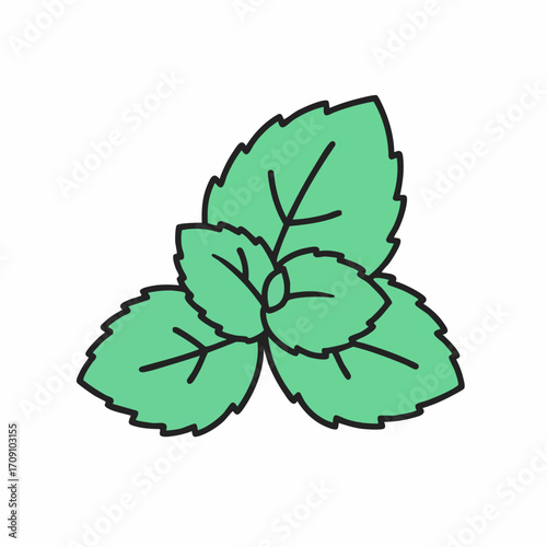 Vibrant Green Mint Leaves Illustration: A Trio of Fresh Herbs