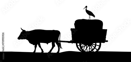 silhouette of a cow