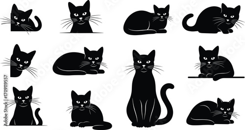Black cat silhouettes collection, cute feline illustrations, various cat poses, pet icons, animal shapes, digital vector art, black cats