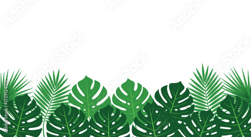 Beautiful arrangement of tropical green leaves forming a border at the bottom.
