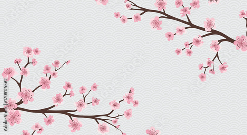 Delicate pink cherry blossoms bloom beautifully on tree branches against a textured white background.
