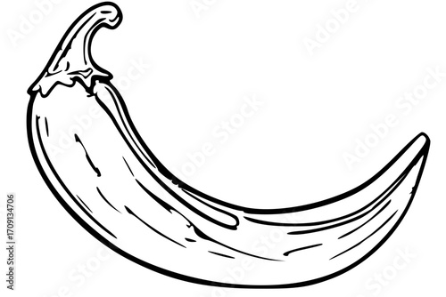 Black and white line drawing of a chili pepper, curved and ready to be colored.