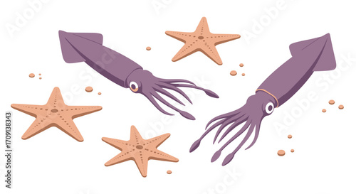 Playful marine life: squids and starfish on a white background