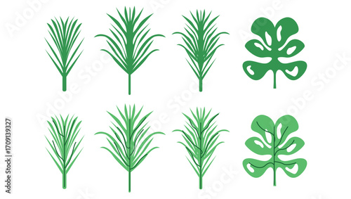 tropical palm leaf retro