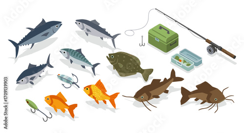 Isometric fish varieties with fishing equipment: hooks, rod, and tackle box