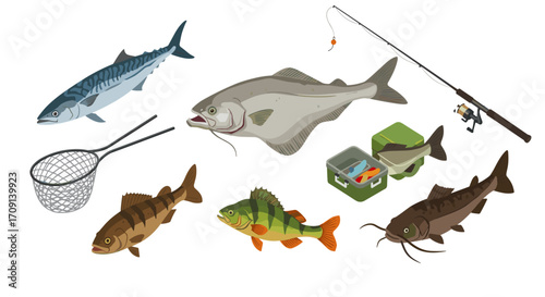 Fishing tackle and freshwater fish collection with rod and net