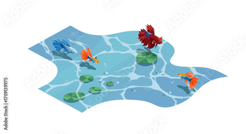 Isometric koi pond with colorful fish and lilypads on blue water