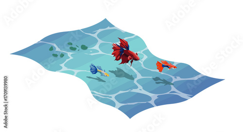 Vibrant koi fish swimming in clear blue pond with rippling water effects