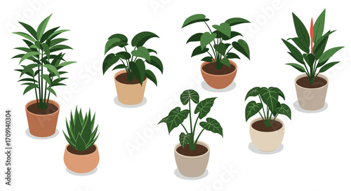 Collection of potted houseplants in ceramics for home decor