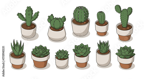 Charming assorted cacti and succulents in pots on white background