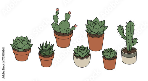 Charming succulent collection in terracotta pots for modern home decor