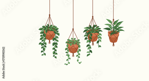 Hanging potted plants in macrame hangers with lush greenery on minimalist background
