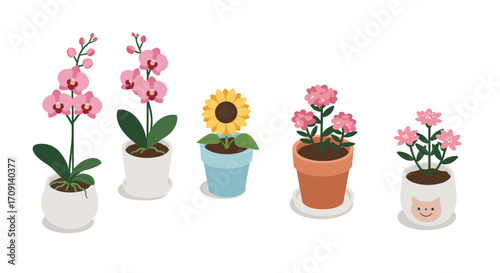 Charming potted plants: floral collection with orchids, sunflower, and cute clay pot designs