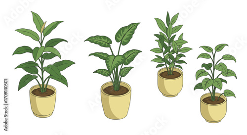Collection of potted green plants on a white background with hand-drawn style