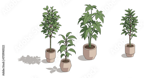 Set of potted indoor plants in isometric design for modern home decor