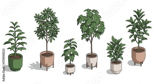 Modern indoor potted plants collection in stylish pots with stand
