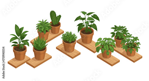 Potted houseplants on wooden shelves with various indoor greenery in 3d style
