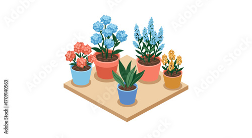 Isometric potted plants display with vibrant blossoms on wooden platform