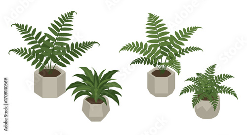 Isometric indoor plants collection in minimalist geometric pots