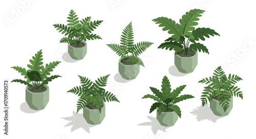 Variety of green indoor plants in geometric pots on white background