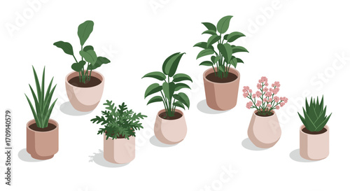 Isometric potted plants collection: modern indoor greenery and decorative foliage