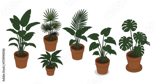 Collection of potted tropical plants in flat design for home decor