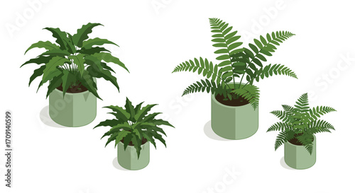 Isometric houseplants collection: stylish indoor greenery for modern spaces
