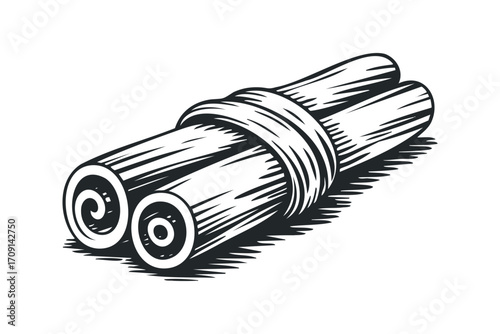 Bunch of Cinnamon Sticks Tied Together on Transparent. Vector hand drawn illustration