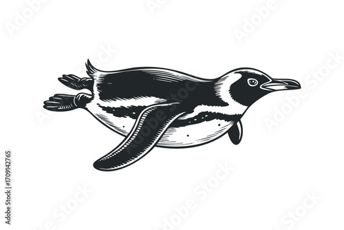 Penguin swimming underwater isolated on white. Vector hand drawn illustration