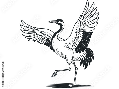 Crane with wings spread standing on one leg. Vector hand drawn illustration