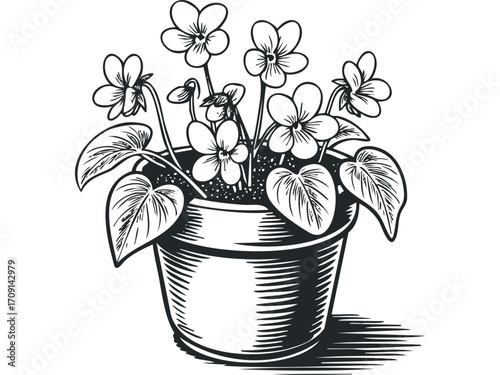 Potted flowering plant line art. Vector hand drawn illustration