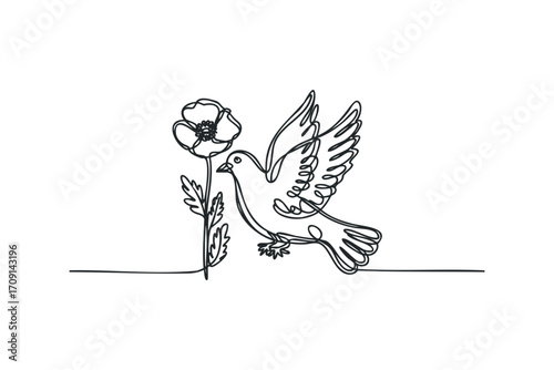 Dove holding poppy flower single line drawing on transparent background. Vector hand drawn illustration