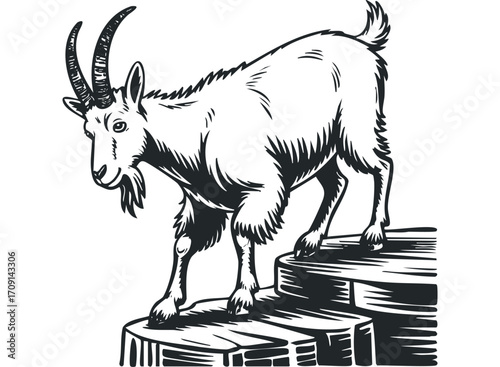 Majestic Goat Standing on Stone Blocks. Vector hand drawn illustration