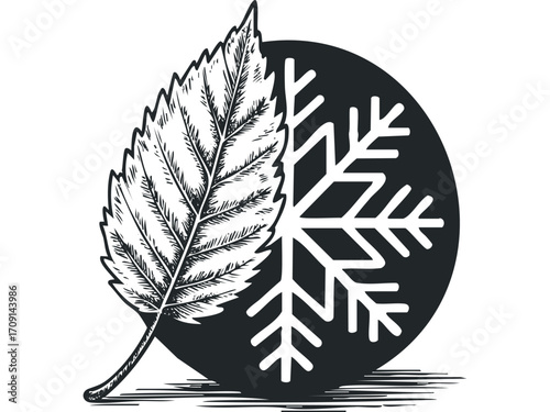 Leaf and snowflake symbol on transparent background. Vector hand drawn illustration