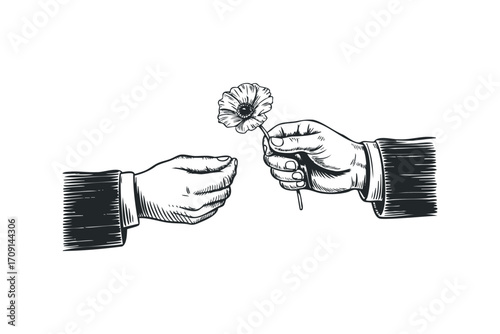 Two hands exchanging a single poppy flower on transparent. Vector hand drawn illustration