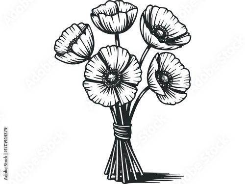 Line Drawing Bouquet of Five Poppies on Transparent Background. Vector hand drawn illustration