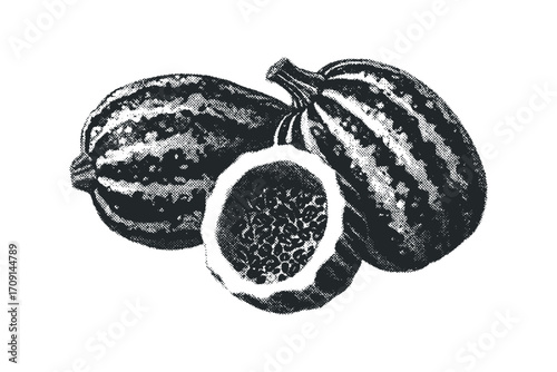 Halved and whole gourds with striped texture on transparent. Vector hand drawn illustration