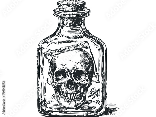 Vintage glass bottle containing a skull with a cork stopper. Vector hand drawn illustration