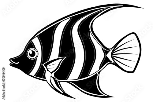 fish vector illustration