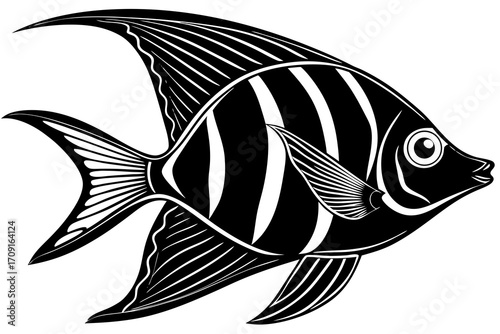 fish vector illustration