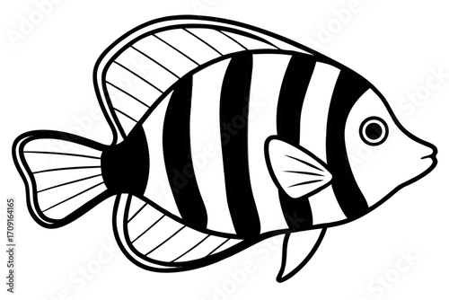 fish on a black background