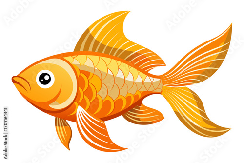 goldfish on white background
