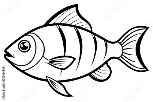 vector illustration of a fish