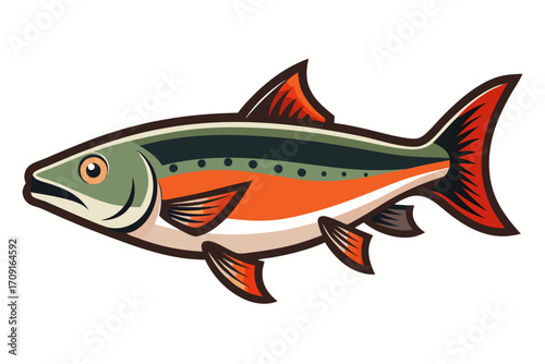 vector illustration of a salmon fish