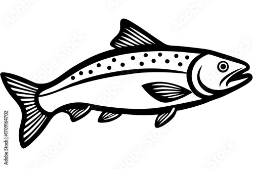 fish on a white background