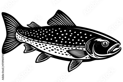 vector illustration of a fish