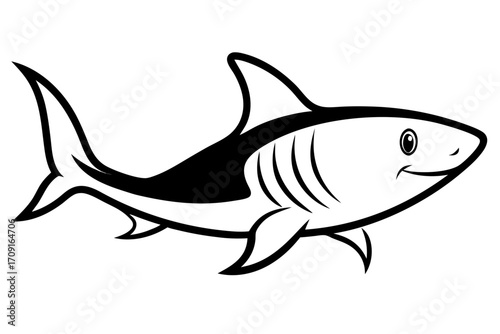 shark vector illustration
