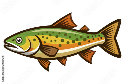 Trout fish on a white background