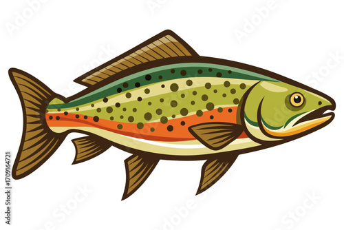 illustration of a fish
