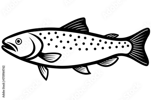 vector illustration of a fish